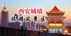 爆奸金发骚货中国陕西-西安城墙旅游风景区