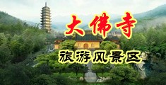 大鸡巴下的呻吟声中国浙江-新昌大佛寺旅游风景区